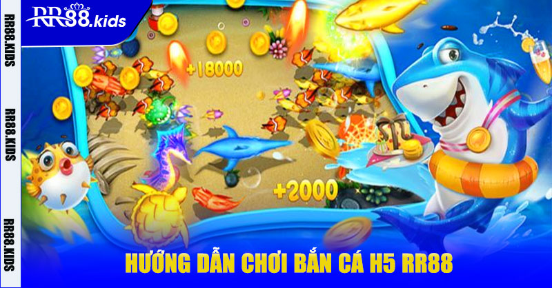 Hướng dẫn chơi bắn cá H5 RR88